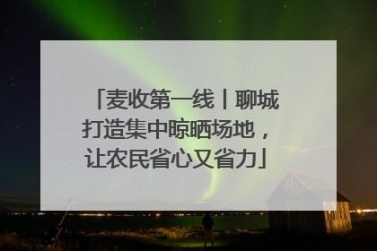 麦收第一线丨聊城打造集中晾晒场地，让农民省心又省力
