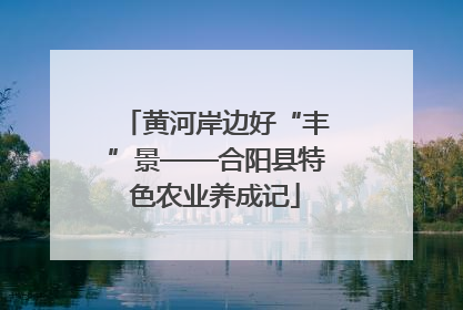 黄河岸边好“丰”景——合阳县特色农业养成记