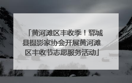 黄河滩区丰收季！郓城县摄影家协会开展黄河滩区丰收节志愿服务活动
