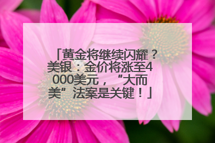 黄金将继续闪耀？美银：金价将涨至4000美元，“大而美”法案是关键！