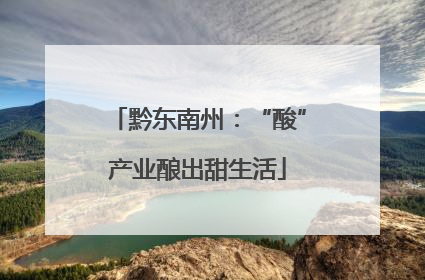 黔东南州：“酸”产业酿出甜生活