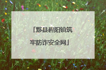 黟县碧阳镇筑牢防诈安全网