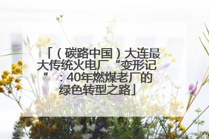 （碳路中国）大连最大传统火电厂“变形记”：40年燃煤老厂的绿色转型之路