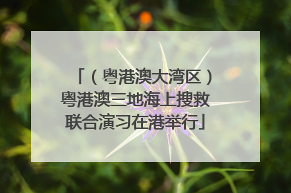 （粤港澳大湾区）粤港澳三地海上搜救联合演习在港举行