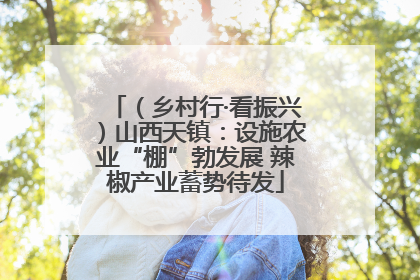 （乡村行·看振兴）山西天镇：设施农业“棚”勃发展 辣椒产业蓄势待发