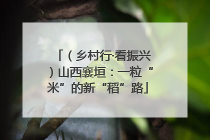 （乡村行·看振兴）山西襄垣：一粒“米”的新“稻”路
