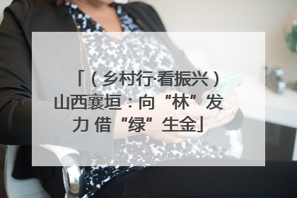 （乡村行·看振兴）山西襄垣：向“林”发力 借“绿”生金