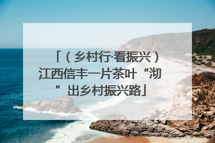 （乡村行·看振兴）江西信丰一片茶叶“沏”出乡村振兴路