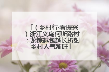 （乡村行·看振兴）浙江义乌何斯路村：龙粽越包越长折射乡村人气渐旺
