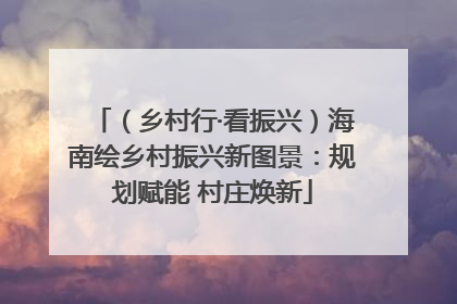 （乡村行·看振兴）海南绘乡村振兴新图景：规划赋能 村庄焕新