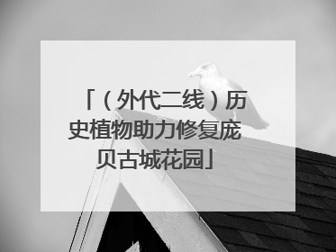 （外代二线）历史植物助力修复庞贝古城花园