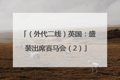 （外代二线）英国：盛装出席赛马会（2）