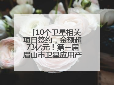 10个卫星相关项目签约，金额超73亿元！第三届眉山市卫星应用产业发展大会召开