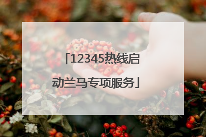 12345热线启动兰马专项服务