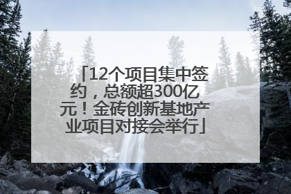12个项目集中签约，总额超300亿元！金砖创新基地产业项目对接会举行
