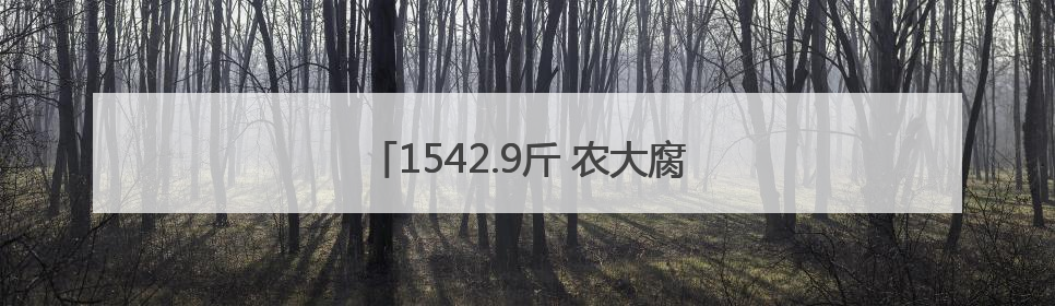 1542.9斤 农大腐植酸青岛即墨创小麦高产