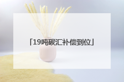 19吨碳汇补偿到位