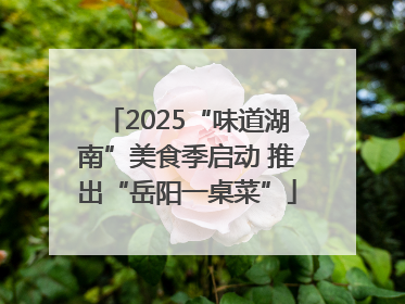 2025“味道湖南”美食季启动 推出“岳阳一桌菜”