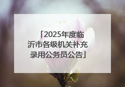 2025年度临沂市各级机关补充录用公务员公告