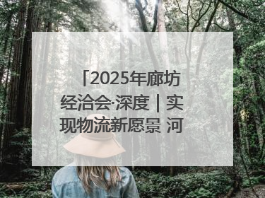 2025年廊坊经洽会·深度｜实现物流新愿景 河北再出发