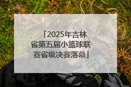 2025年吉林省第五届小篮球联赛省级决赛落幕