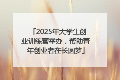 2025年大学生创业训练营举办，帮助青年创业者在长圆梦