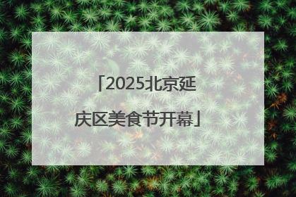 2025北京延庆区美食节开幕