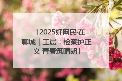 2025好网民·在聊城｜王晨：检察护正义 青春筑晴朗