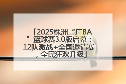 2025株洲“厂BA”篮球赛3.0版启幕：12队激战+全国邀请赛，全民狂欢升级