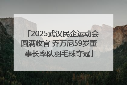 2025武汉民企运动会圆满收官 乔万尼59岁董事长率队羽毛球夺冠