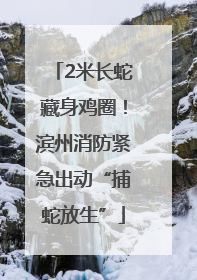 2米长蛇藏身鸡圈！滨州消防紧急出动“捕蛇放生”