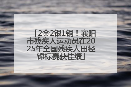 2金2银1铜！襄阳市残疾人运动员在2025年全国残疾人田径锦标赛获佳绩