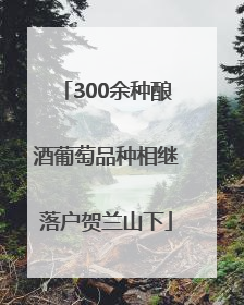 300余种酿酒葡萄品种相继落户贺兰山下
