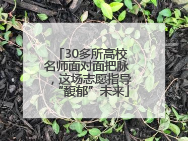 30多所高校名师面对面把脉，这场志愿指导“馥郁”未来