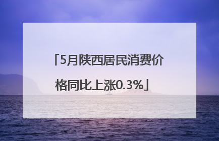 5月陕西居民消费价格同比上涨0.3%
