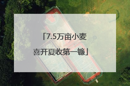 7.5万亩小麦喜开夏收第一镰