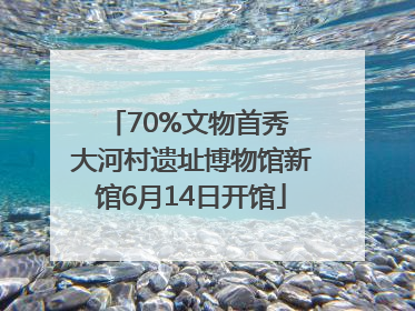 70%文物首秀 大河村遗址博物馆新馆6月14日开馆