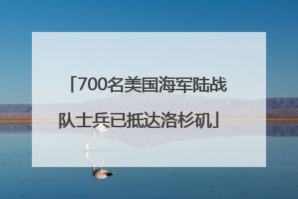 700名美国海军陆战队士兵已抵达洛杉矶