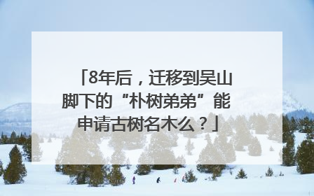8年后，迁移到吴山脚下的“朴树弟弟”能申请古树名木么？