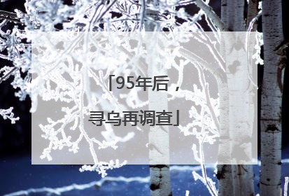 95年后，寻乌再调查