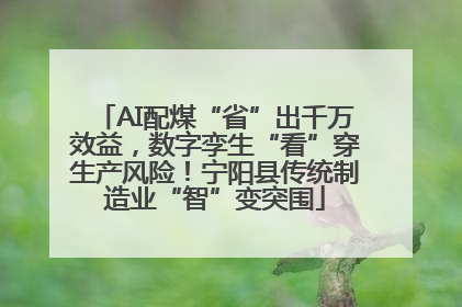 AI配煤“省”出千万效益，数字孪生“看”穿生产风险！宁阳县传统制造业“智”变突围