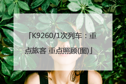 K9260/1次列车：重点旅客 重点照顾(图)