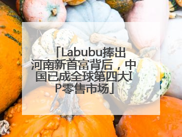 Labubu捧出河南新首富背后，中国已成全球第四大IP零售市场