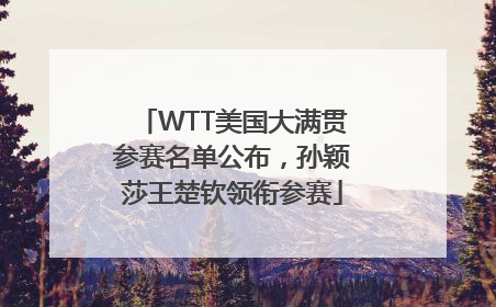 WTT美国大满贯参赛名单公布，孙颖莎王楚钦领衔参赛