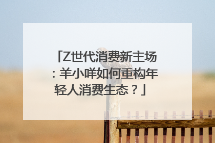 Z世代消费新主场：羊小咩如何重构年轻人消费生态？